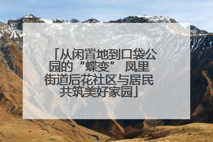 从闲置地到口袋公园的“蝶变” 凤里街道后花社区与居民共筑美好家园